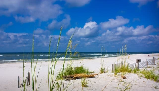 8 Wheelchair Accessible Beaches in the United States